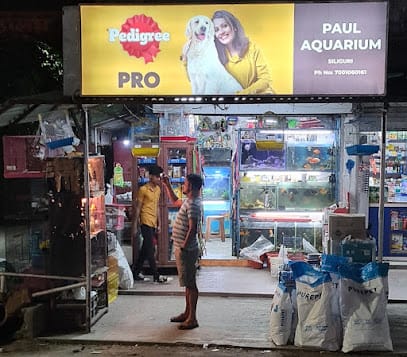 Paul pet shop |in siliguri| Dog Shop in Siliguri | business photograph