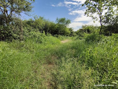 Aravalli Biodiversity Park business photograph