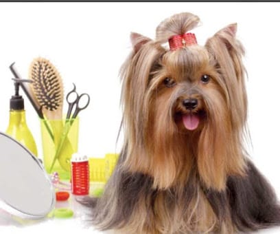 Scoopy Scrub business photograph