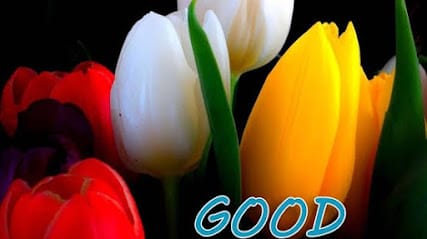 Ganesh LCD LED TV service center for multi brand & KENSTAR, HYUNDAI AUTHORISED SERVICE CENTER.IN SALEM business photograph