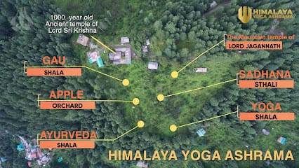 Himalaya Yoga Ashrama business photograph