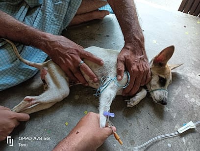 HAPPY PETS HOUSE VETERINARY CLINIC business photograph