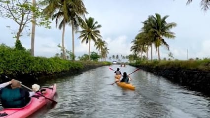 Kochi Kayaking - Kalypso Adventures business photograph