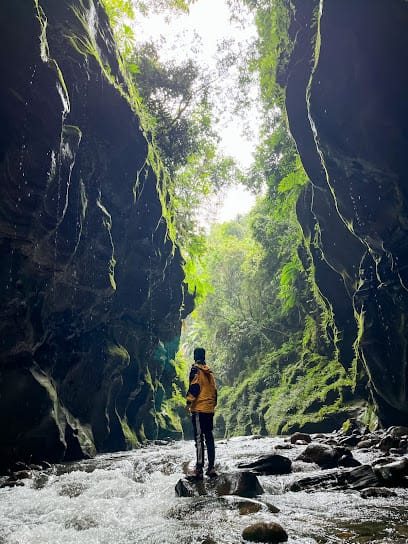 Explore Meghalaya business photograph