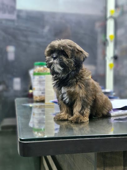 Mercy Pet Clinic business photograph