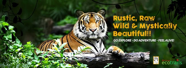 Mystic Wild business photograph