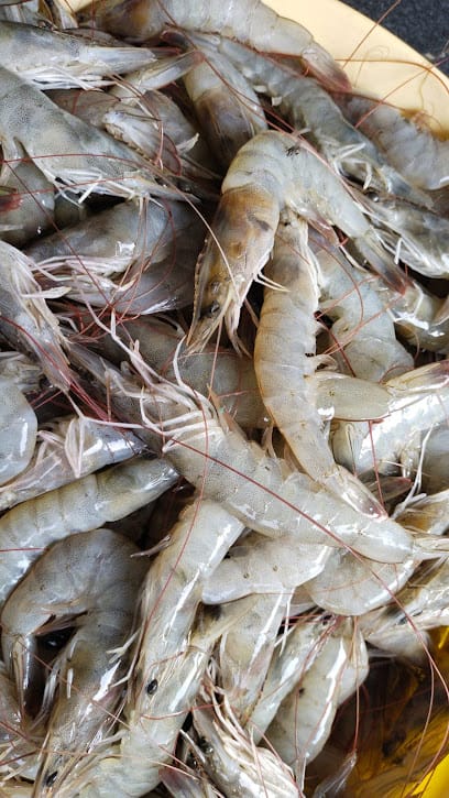 Durga Bhavani Meat Mart business photograph