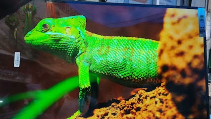 Dev Dutt Electronics - Matunga business photograph