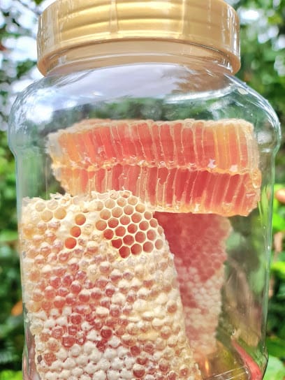 Karnataka Malenadu Forest Honey Bee Farm business photograph