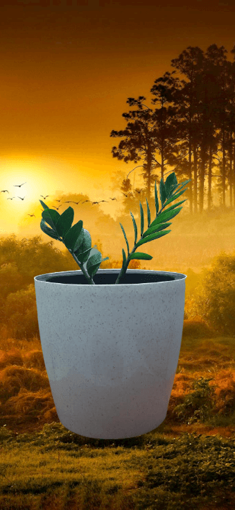 Eden Garden Pots business photograph