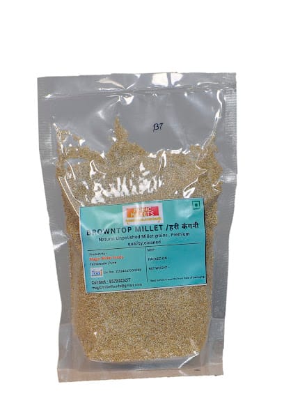 Magic Millets business photograph