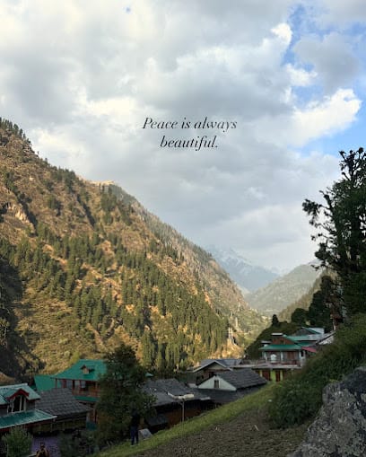 The Kasol Traveller business photograph