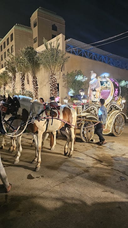 Shiv Ghodi, Baggi and Events planner in Jabalpur | Wedding Organiser | Decoration | Light | Bands | DJ business photograph