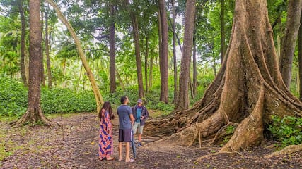 Seashell Habitat Institute Activity Centre business photograph