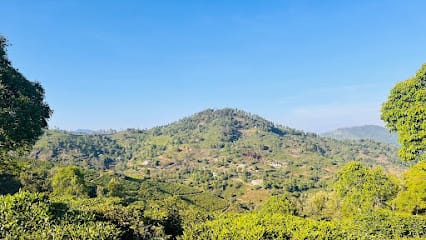 TRAVEL EXPLORER ootytaxi business photograph