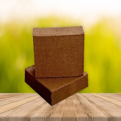 Sakthi Seyon BioTech business photograph