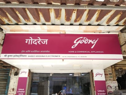 Shree Krishna electronics business photograph