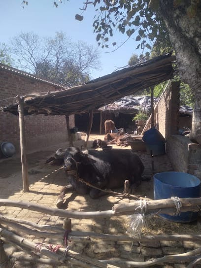 SK Dairy Farm business photograph