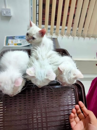 Dhrita pet clinic business photograph