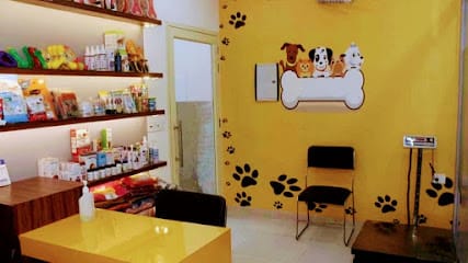 Pet Care and Cure | Pet Clinics Ludhiana business photograph