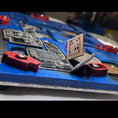 BISON SMARTPHONE business photograph