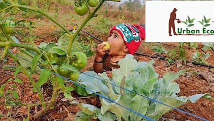 Urban Eco Farms business photograph