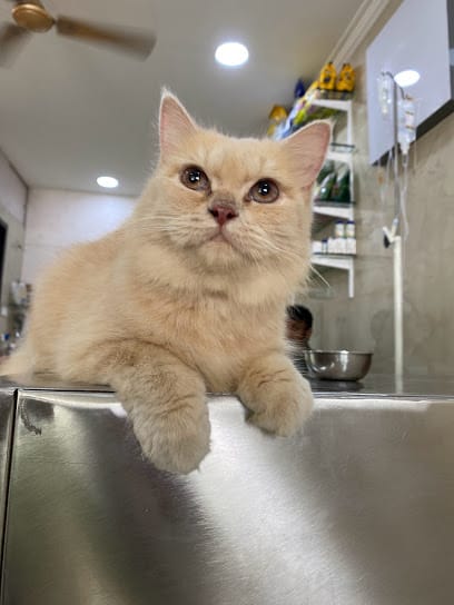 Vetri Veterinary Clinic & Surgical Centre business photograph