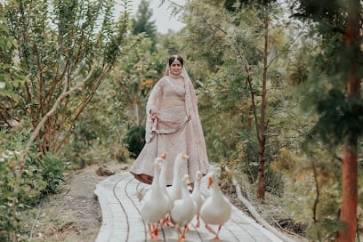 The Weddings Cloud business photograph
