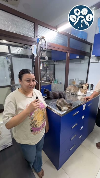 Animaux Clinique business photograph