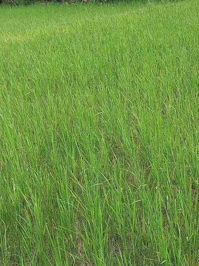 MUTHU ORGANIC FARM (Muthu Organic Agricultural Products) business photograph