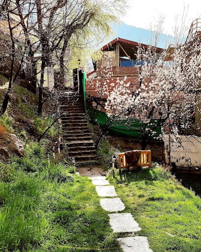 The Culture Nation Hostel Manali business photograph