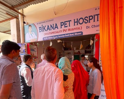 Bikana Pet Hospital business photograph