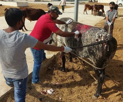 Devashraya Animal Hospital business photograph