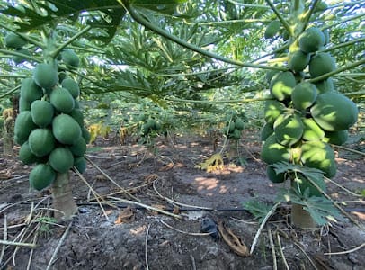 Agrimaa Bioscience Pvt.Ltd business photograph