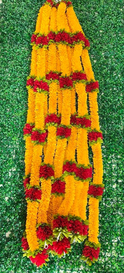 DHANARAJ COLLECTION business photograph