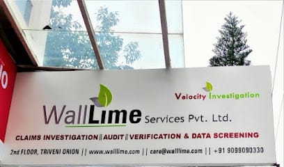 Walllime Services Pvt. Ltd. business photograph