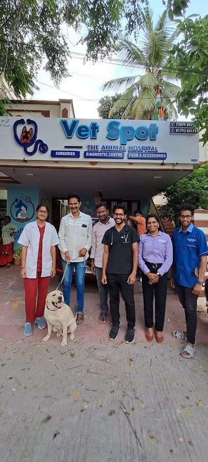Vet Spot The Animal Hospital-Emergency service Regular body checkup Deworming - Surgeries -Critical care unit-Tick bathing business photograph