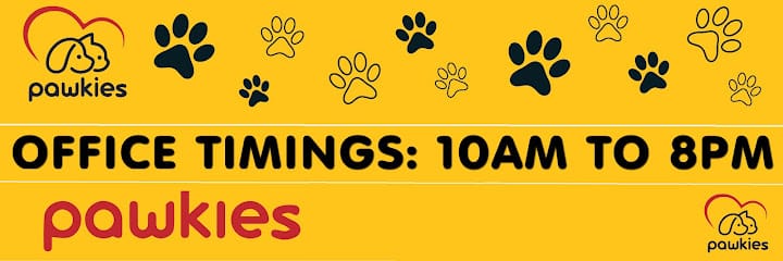 Pawkies Dogs Cuddle Therapy & Boarding business photograph