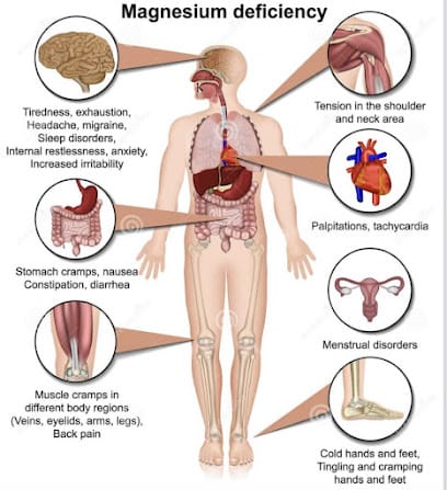 Certified personal trainer, prep coach & nutritionist at home+ International Registered Of Exercises Professional business photograph