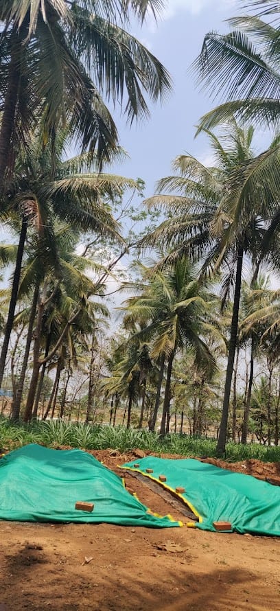 Namma Organics Vermicompost business photograph