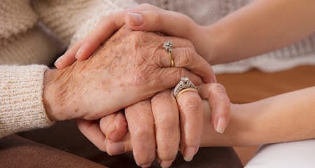 Paradise Care Home business photograph