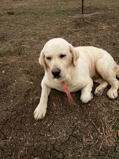 Dr Bharti raut business photograph