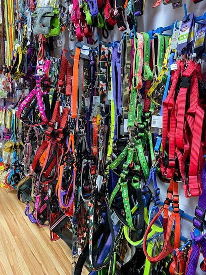 Dog Hospital business photograph