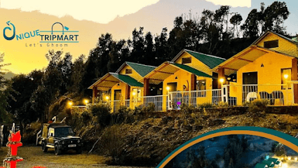 Unique TripMart - Best Travel Agecy in Delhi business photograph