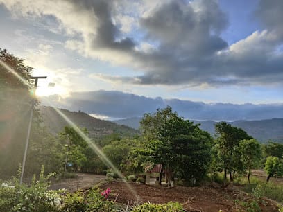 Ananda Kriya Yogashram business photograph