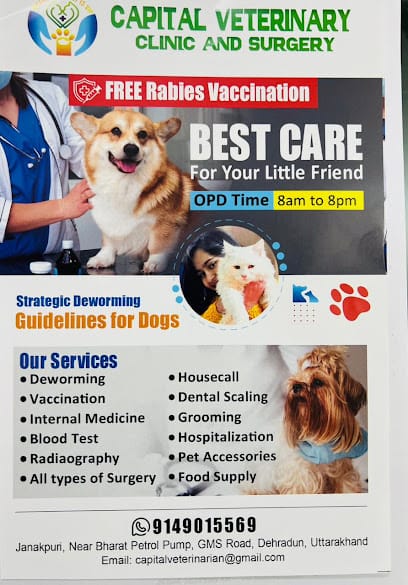Capital Veterinary Clinic & Surgery business photograph