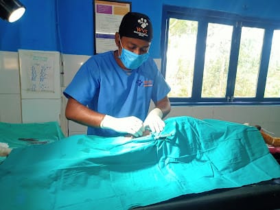 RNK Veterinary Clinic business photograph