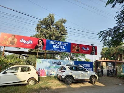 Indore Pet Hostel business photograph