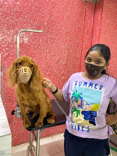 Saraswati Pet Care Hospital business photograph