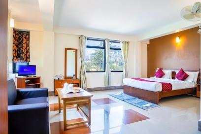 Sparrow Juniper Tree Near MG Marg business photograph